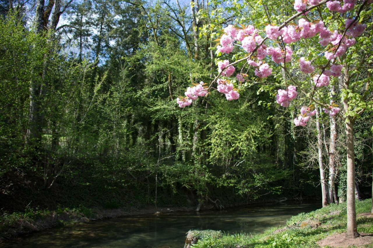 Gite Moulin De La Serree Villa Nuits-Saint-Georges Dış mekan fotoğraf